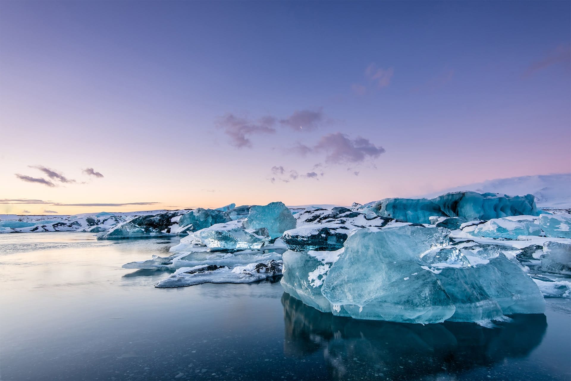 ベトナム市場調査